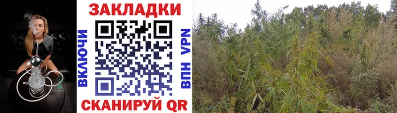 Где можно купить наркотики Харовск КОКАИН  Бошки Шишки  МЕФ  APVP  ГАШИШ 