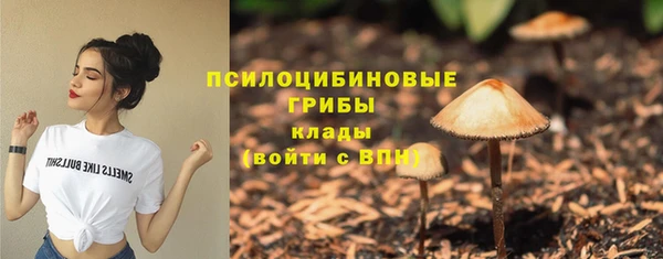 мдма Козловка